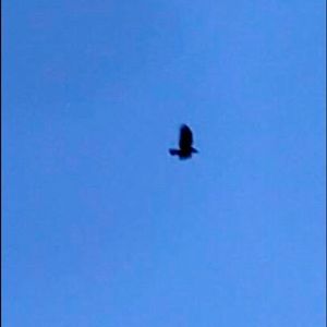 Meet your Posher, Jian carla